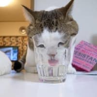 果てしない勘違い