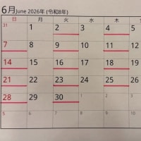 2026年坂根医院の日程表