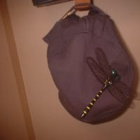 おはようございます。曇り蒸し暑く感じる朝です。