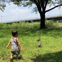 ルーティーン
