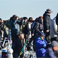 百里基地５０周年記念航空祭　【特別公開】