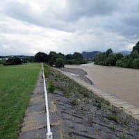 大雨一過後の濁流を見る