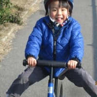 ストライダー