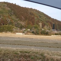 フリーマーケット行って来ました。