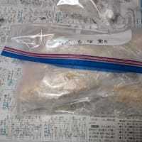 デカ鯵のアジフライ