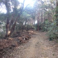 里山を走る！