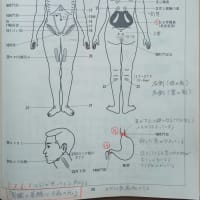 手かざしは病気治しの業か否か 崇教真光ゆるツッコミ