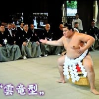 スポーツ選手のスーパースターの登場は、感動ものです・・・・・！