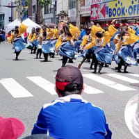 よさこい