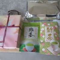 ゴーヤ植え付ける＆新茶頂く