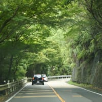 福知山温泉に行ってみた