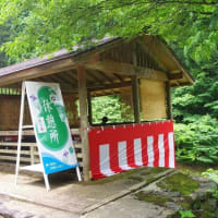 「第４０回花しょうぶ祭り」開幕