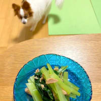 野菜ぽんず