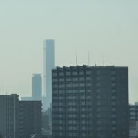 大阪の夏空・・・・・