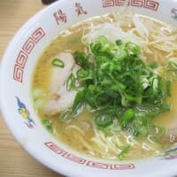 ザ・広島ラーメン！「陽気」横川店に行ってきました　広島ラーメン・・・しょうゆトンコツが特徴です