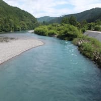 本日の海部川