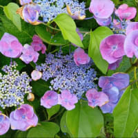 もう7月突入！！