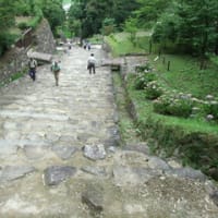 図説安土城を掘る: 発掘調査15年の軌跡 | 滋賀県安土城郭調査