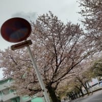 21世紀の森とひろば