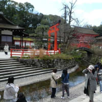 20240325東本願寺と下加茂神社