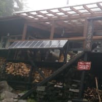 白駒池