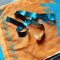DAICHI MIURA LIVE TOUR 2025 太陽に焼かれて踊りましょう 雨に打たれ歌いましょう　5/1（水）アリーナ公演