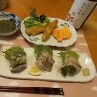 梅が枝 純米吟醸
