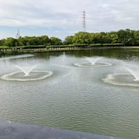 埒が開かない