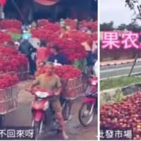 「ライチがゴミになる日」　豊作なのに誰も買わない＝中国【動画あり】