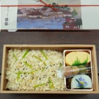 箱根：箱根神社と大涌谷