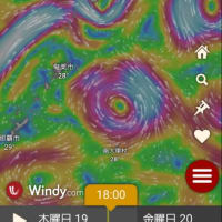 今日のルアー釣り　6月19日(木)