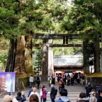下野（７）日光東照宮・三猿
