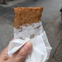 仁淀川に行ってきました⑤ 2024年12月8日 最終日