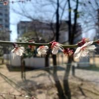 写真だけで更新