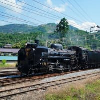 SLパレオエクスプレスと貨物列車（秩父鉄道 2025.6.22撮影）