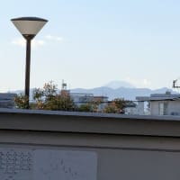 富士見坂を登ってブラームスのヴァイオリン協奏曲を聴きに行く
