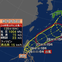 2024年5/26～6/1週の半ばあたりに大東島地方に接近か：2024年台風１号