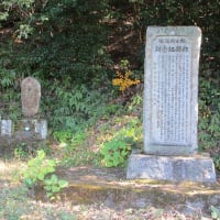 天満村寺尾九兵衛（30）寺尾ツタは義甥と寛延年間に坂之内池からの水路を完成させた