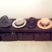 UVケアと帽子コレクション