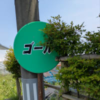 サンデージョギングの話。