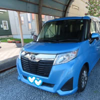 ルーミーさん6ヶ月点検🚘次回は車検💦