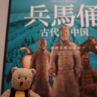 5月22日まで「京セラ美術館」での「兵馬俑と古代中国～秦漢文明の遺産～」。迫力満点の兵馬俑