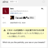 47のフィッシングサイトにデタラメなデータを入力すると…