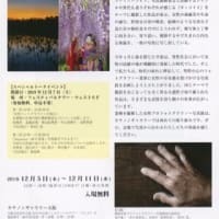 関西48人の女性フォトグラファーの写真展