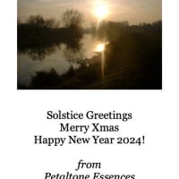 Solstice/Xmas message from UK☆☆☆