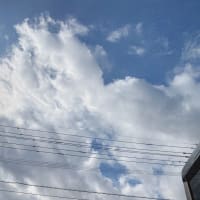 皆さんこんにちは