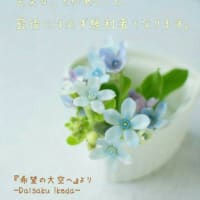 ダイエット26日目 お昼