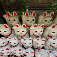 招き猫猫猫・・・
