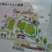 近所の花見　（2025，4月）