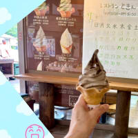 心のふるさとから帰ってきました